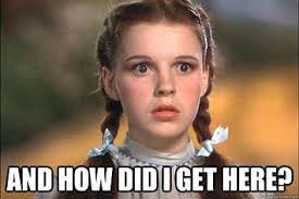 17 Things Only People Who Get Easily Distracted Can Understand | Work  quotes funny, Work humor, Funny quotes